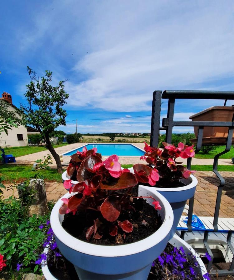 Holiday House Sweet Home Umag Exterior photo